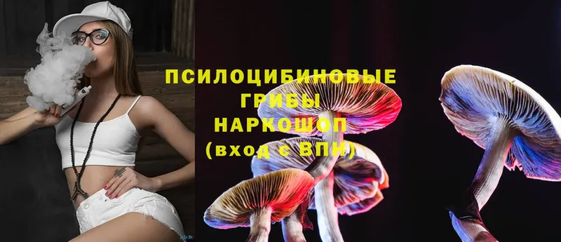 Псилоцибиновые грибы MAGIC MUSHROOMS  где купить наркотик  Бабушкин 